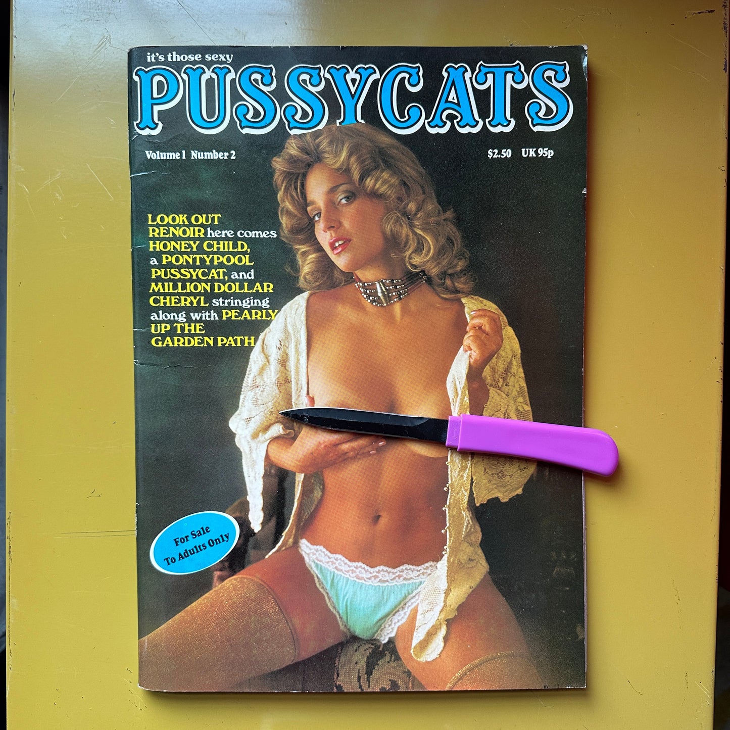 Vintage XXX Magazines
