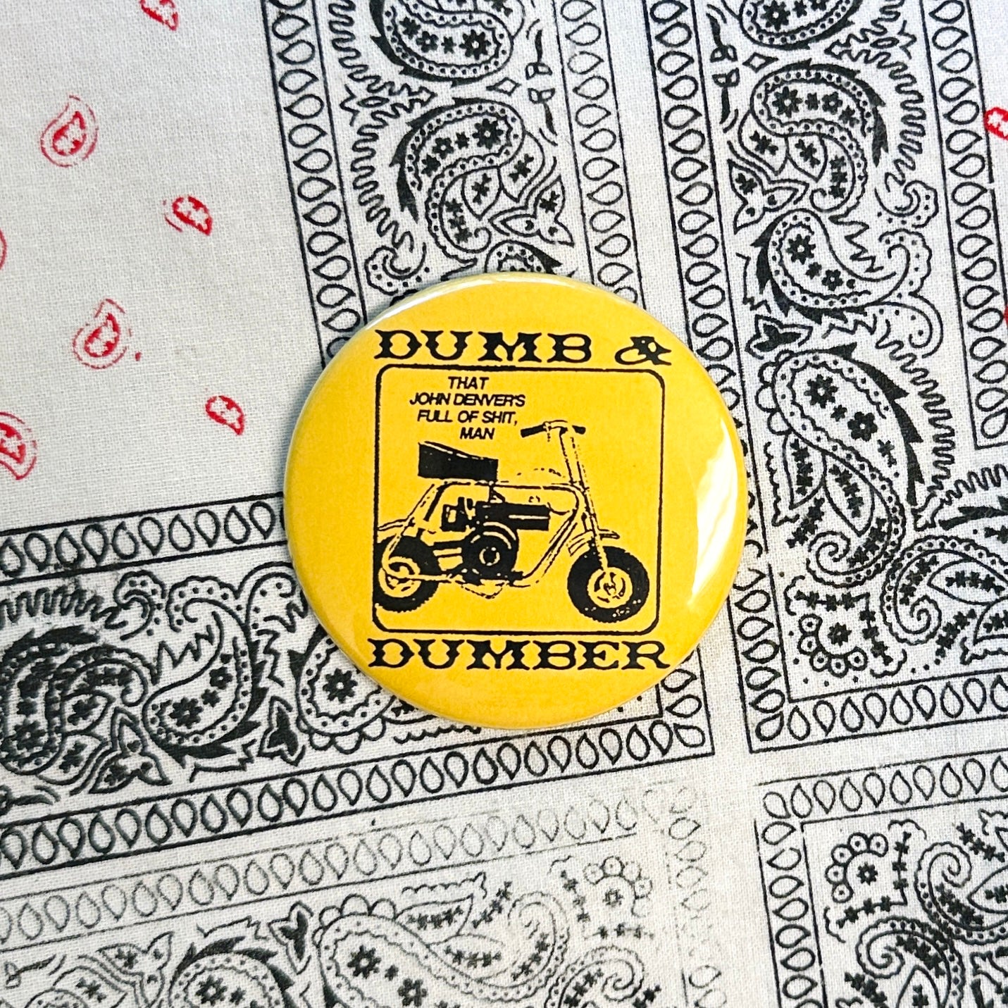 Dumb and Dumber Pin